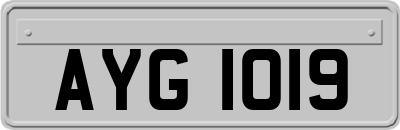 AYG1019