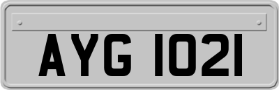 AYG1021
