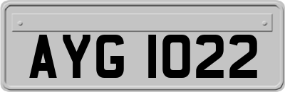 AYG1022