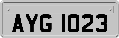 AYG1023