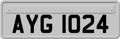 AYG1024
