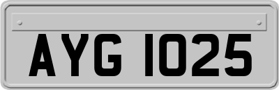 AYG1025