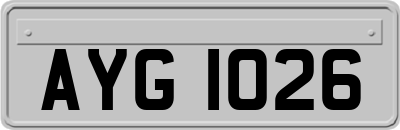AYG1026
