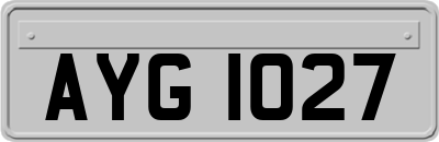 AYG1027