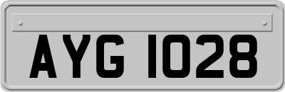 AYG1028