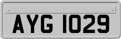 AYG1029