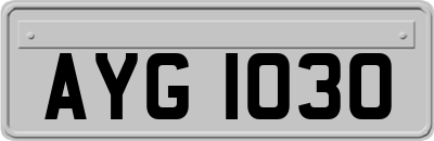 AYG1030