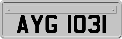 AYG1031