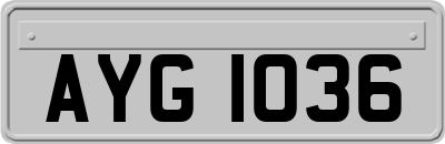 AYG1036
