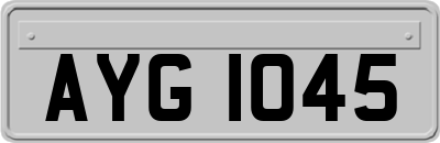 AYG1045
