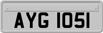 AYG1051