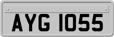 AYG1055