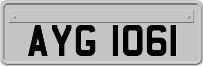AYG1061