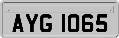 AYG1065