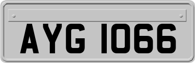 AYG1066