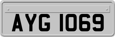 AYG1069