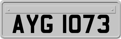 AYG1073