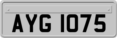 AYG1075