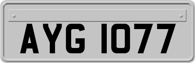 AYG1077