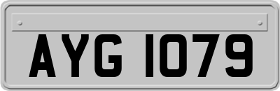 AYG1079