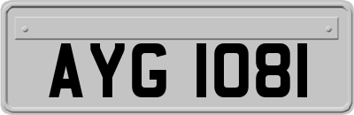 AYG1081
