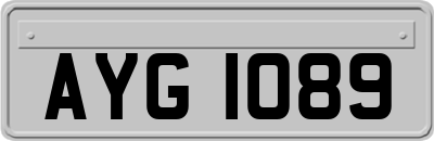 AYG1089