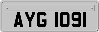 AYG1091