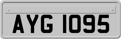 AYG1095