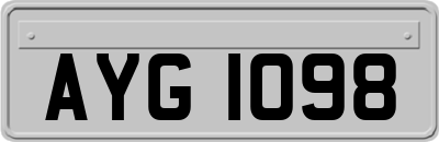 AYG1098