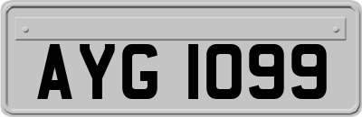 AYG1099
