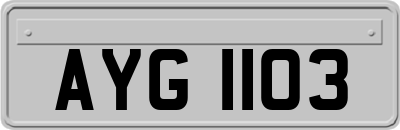AYG1103