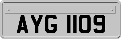 AYG1109