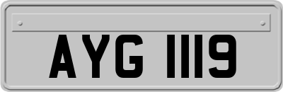 AYG1119