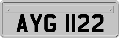 AYG1122