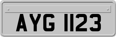 AYG1123