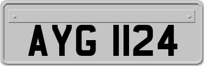 AYG1124