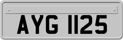 AYG1125