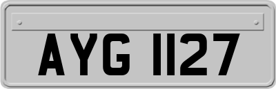 AYG1127