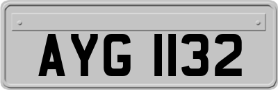 AYG1132