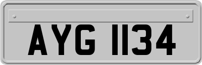 AYG1134