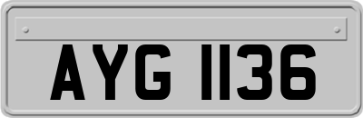 AYG1136
