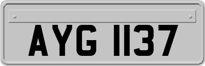 AYG1137