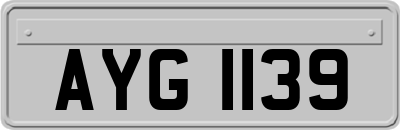 AYG1139