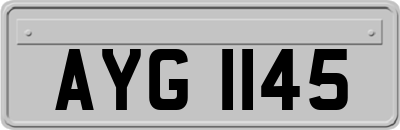 AYG1145