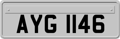 AYG1146