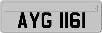 AYG1161
