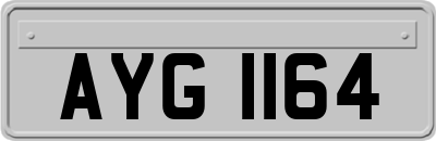 AYG1164