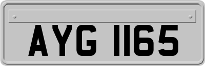 AYG1165