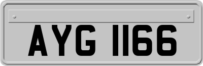 AYG1166