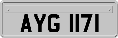 AYG1171